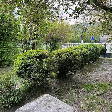 הוילה קורטאה דה ארגס Casa Eroilor מראה חיצוני תמונה