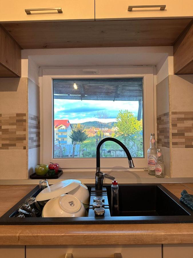 הוילה קורטאה דה ארגס Casa Eroilor מראה חיצוני תמונה
