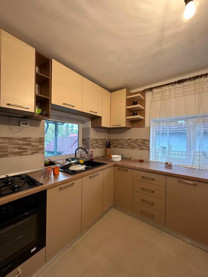 הוילה קורטאה דה ארגס Casa Eroilor מראה חיצוני תמונה