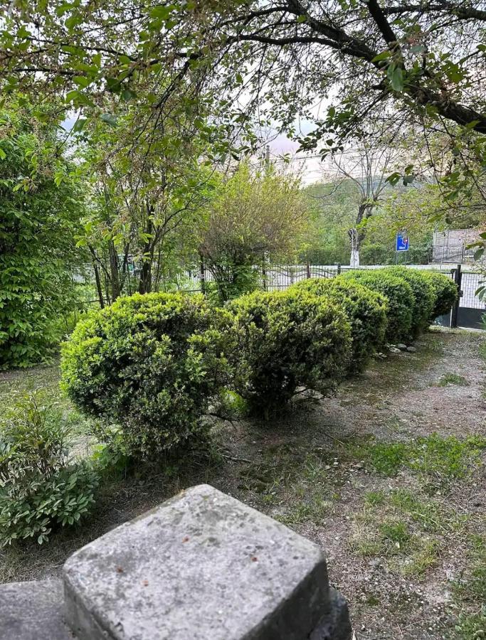 הוילה קורטאה דה ארגס Casa Eroilor מראה חיצוני תמונה