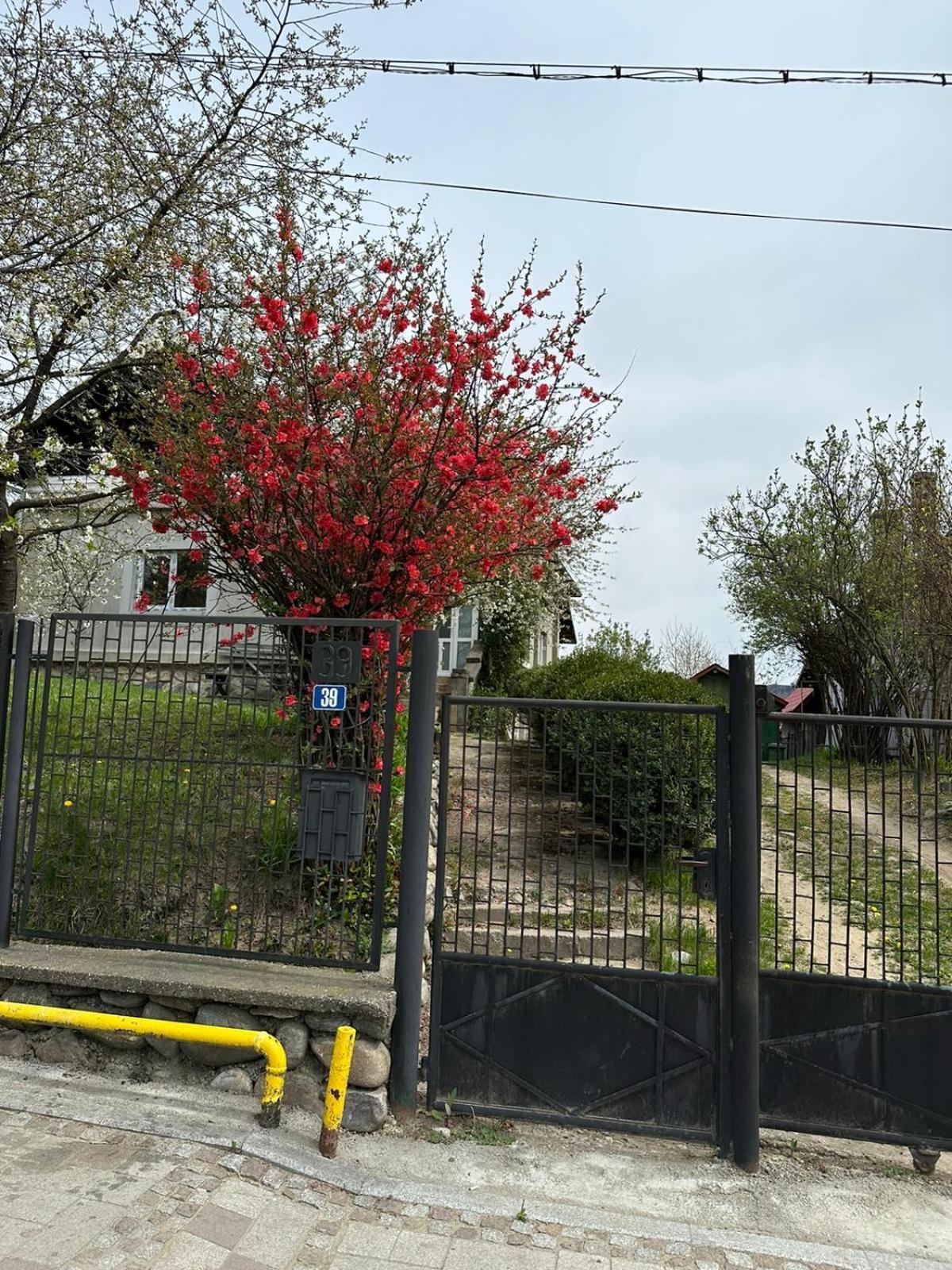 הוילה קורטאה דה ארגס Casa Eroilor מראה חיצוני תמונה