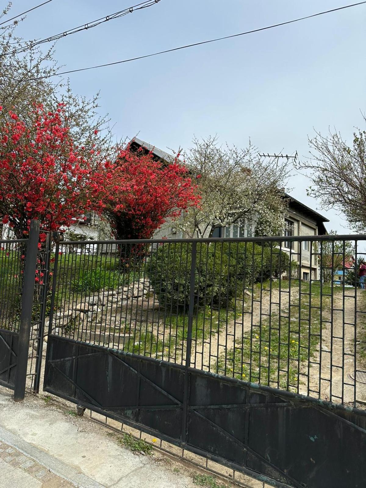 הוילה קורטאה דה ארגס Casa Eroilor מראה חיצוני תמונה